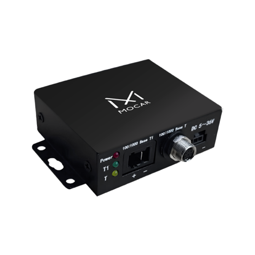 中国　雲南碁石　未使用 中国 雲南碁石 未使用 中国 雲南碁石 未使用 5亿年前古生物化石，